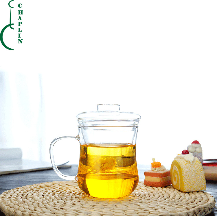 Perfect Gift 12 Ounce Portable Pyrex Glass Filtering Tea Maker with Infuser Teapot Tea Cup